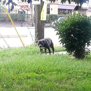 Meet your Posher, Joe